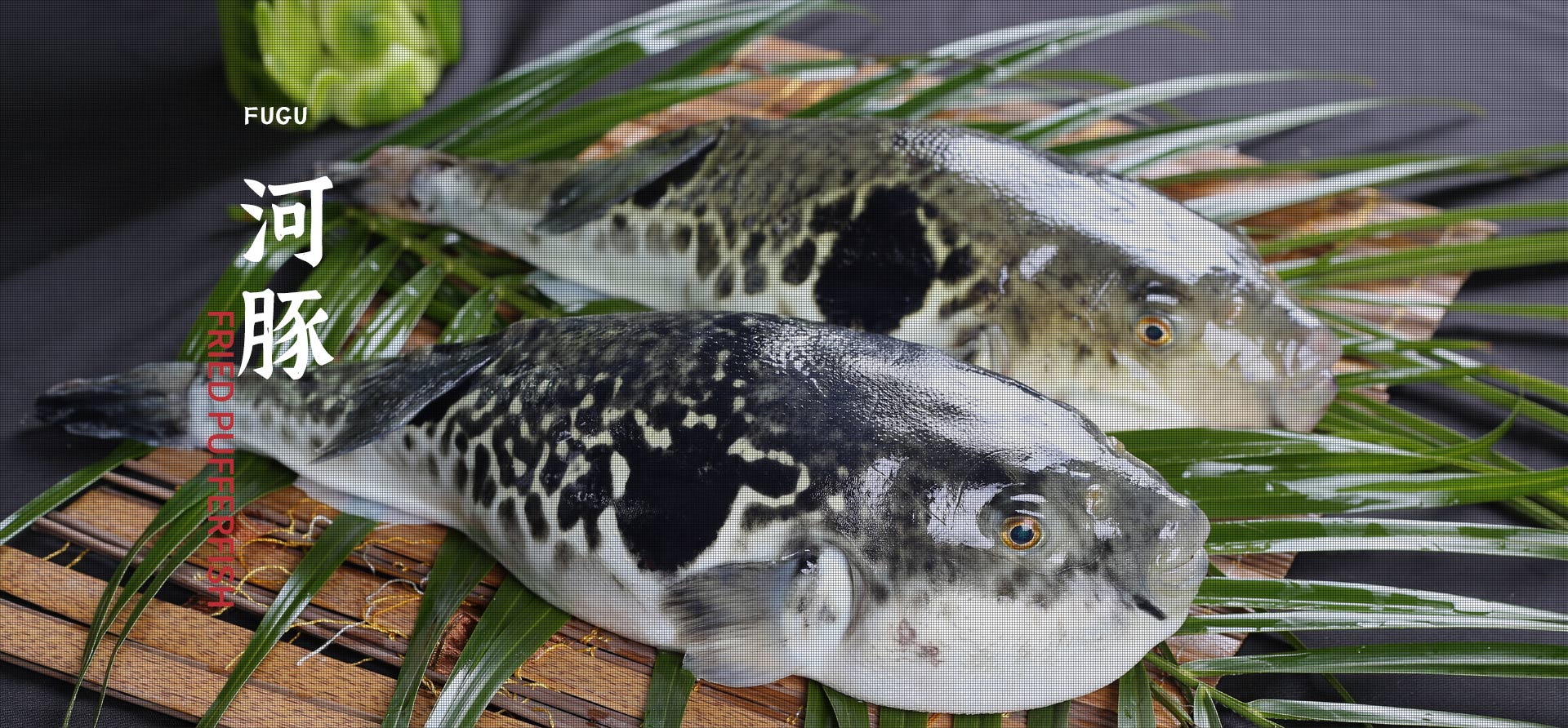 ��ʱ����-�й��ٷ���վ